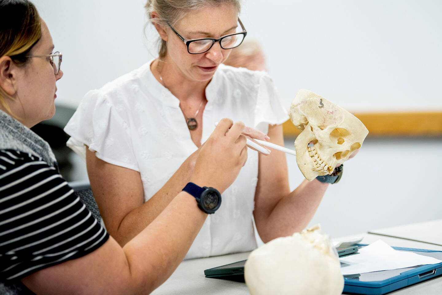 Two individuals examine a skull model together in a classroom setting.